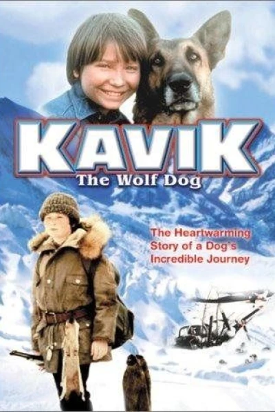 The Courage of Kavik, the Wolf Dog