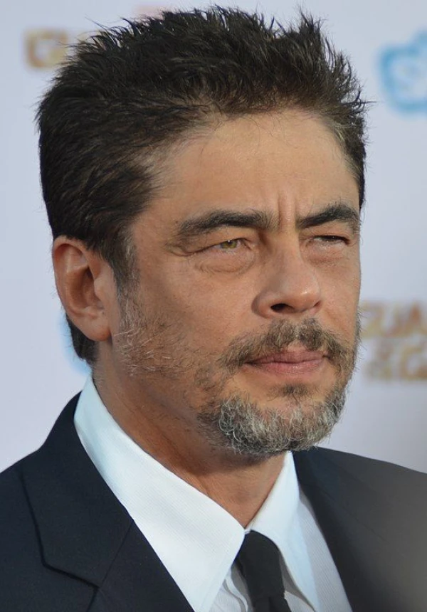 <strong>Benicio del Toro</strong>. Billede af Mingle Media TV.