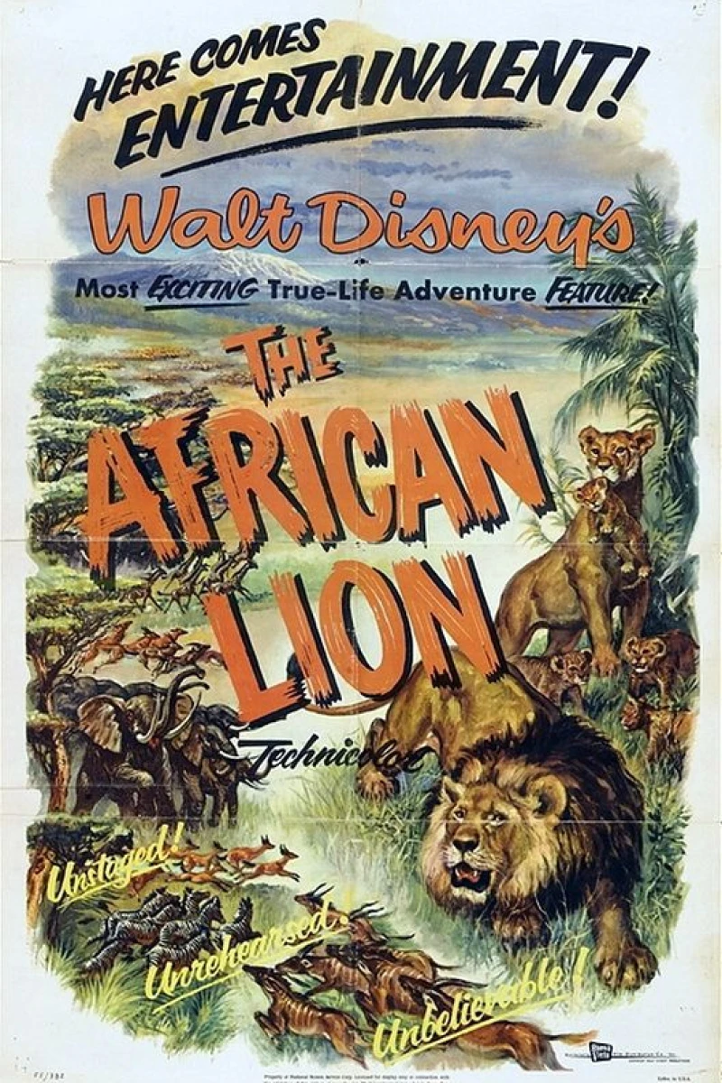 The African Lion Plakat