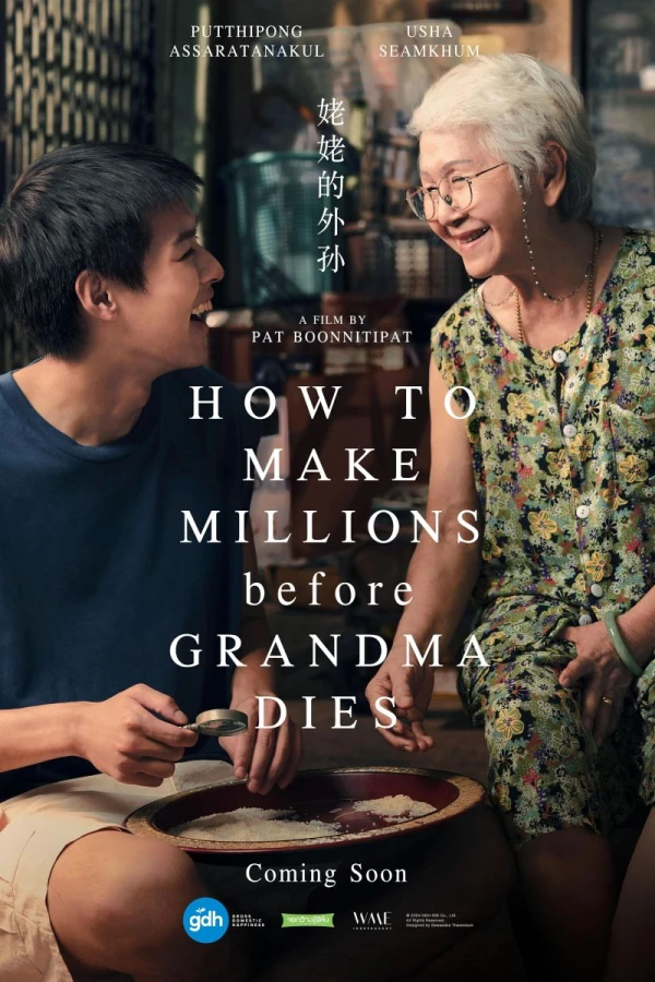 How to Make Millions Before Grandma Dies Plakat