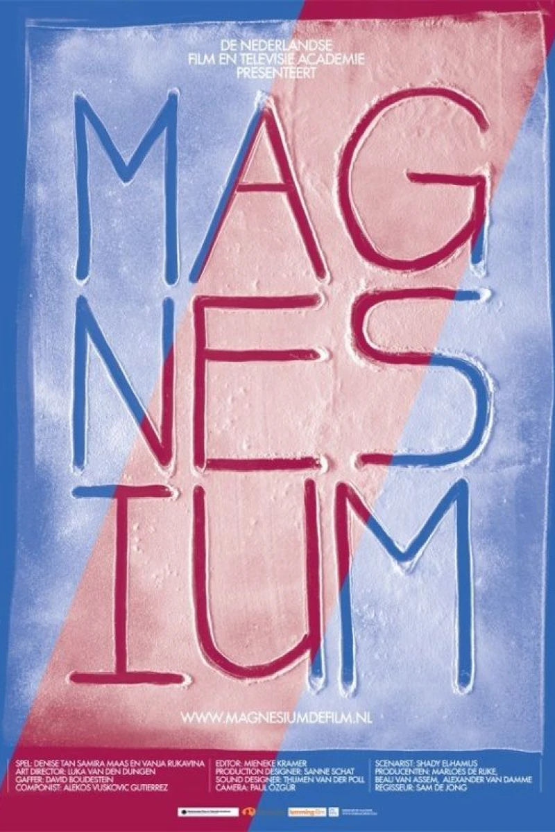 Magnesium Plakat