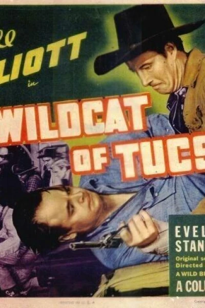 The Wildcat of Tucson