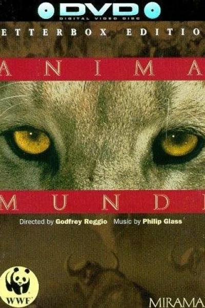 Anima Mundi