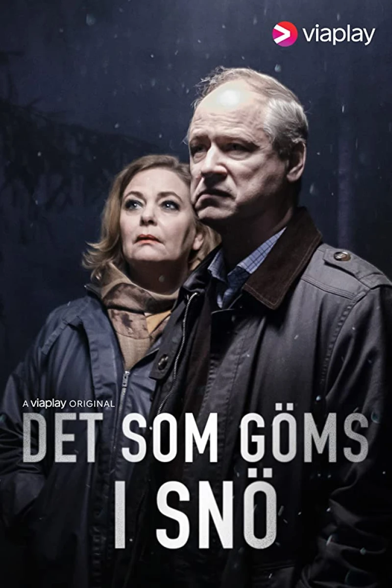 Det som göms i snö Plakat