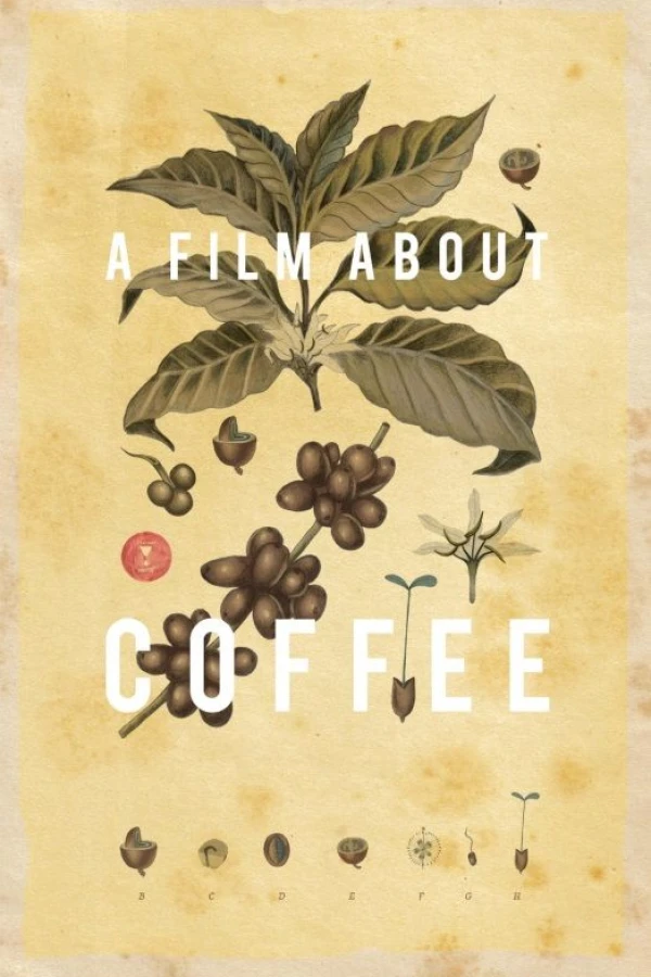 A Film About Coffee Plakat