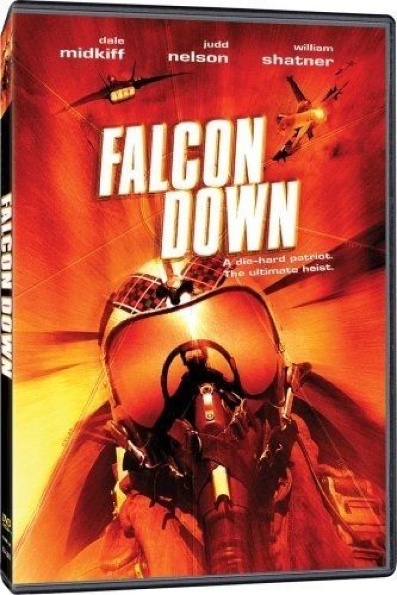 Falcon Down Plakat