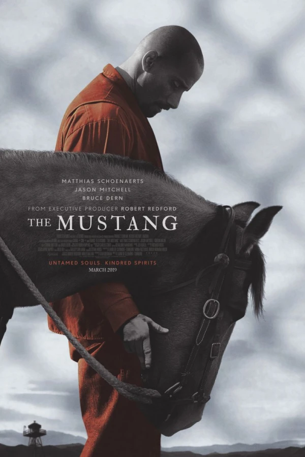The Mustang Plakat