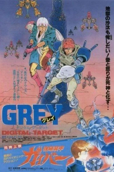 Grey Digital Target