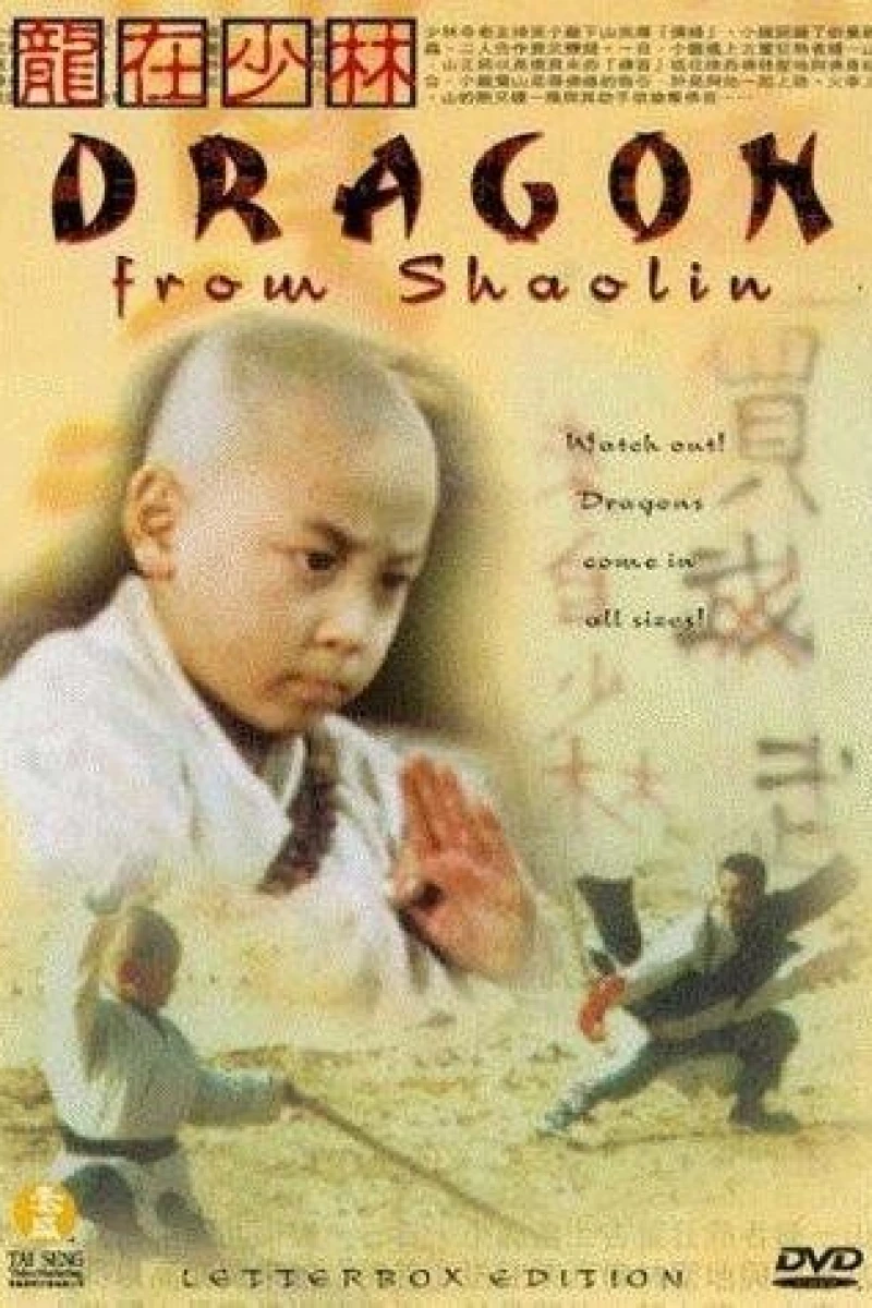 Dragon from Shaolin Plakat