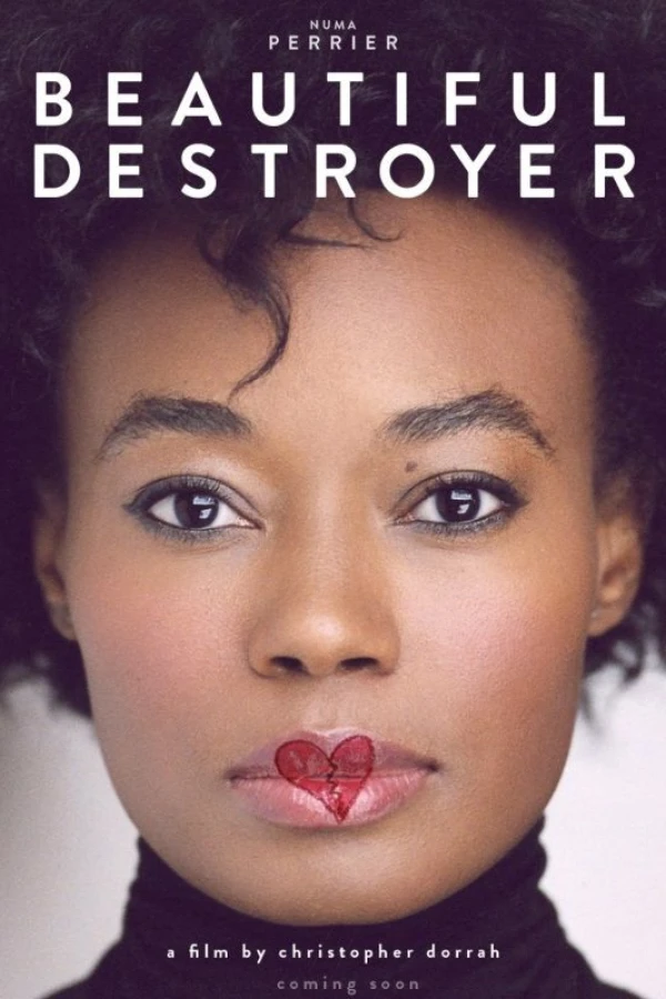 Beautiful Destroyer Plakat