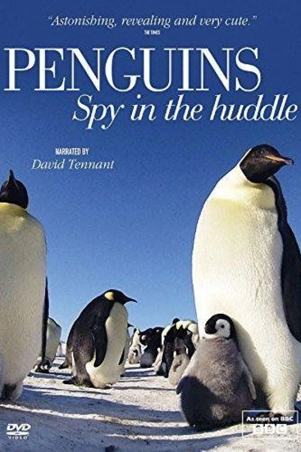 Penguins: Spy in the Huddle Plakat