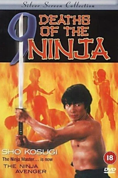 Ninja-fighteren