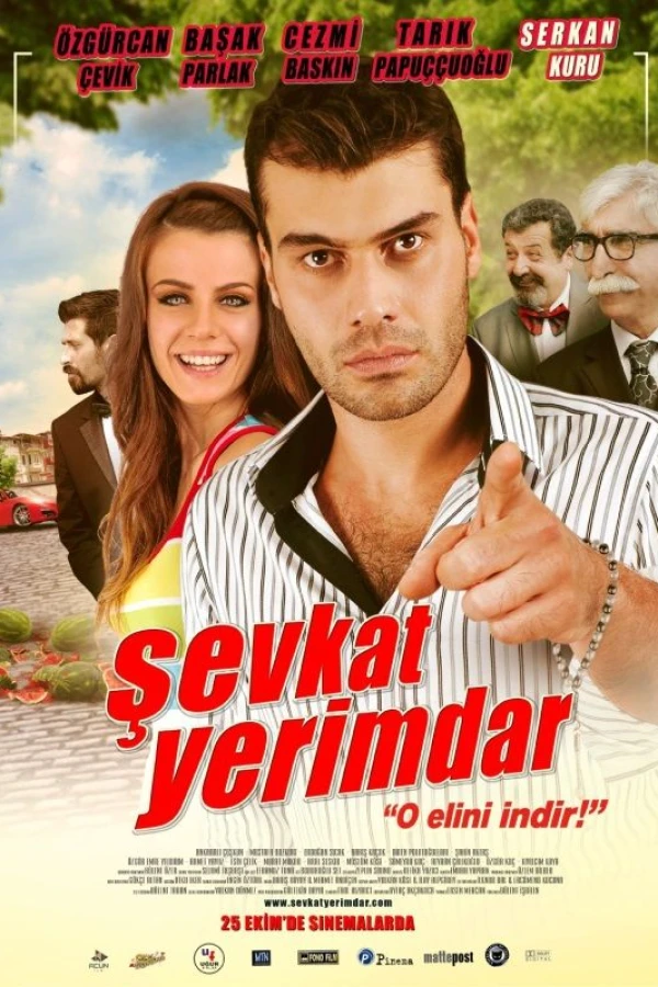 Sevkat Yerimdar Plakat