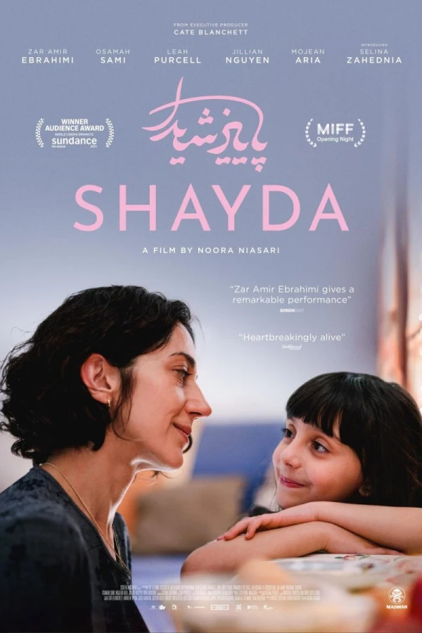 Shayda Plakat