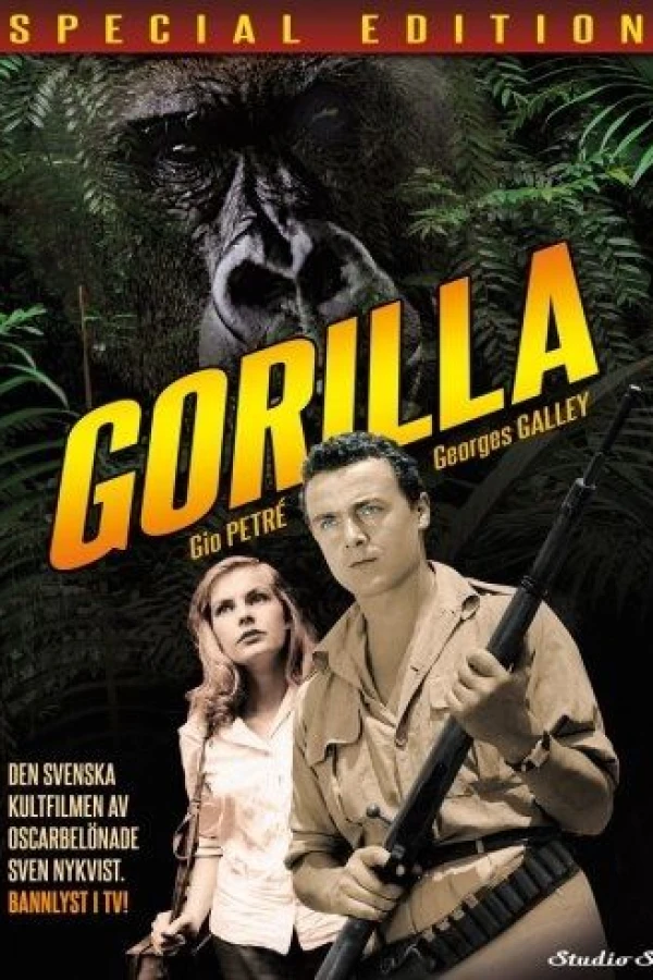 Gorilla Safari Plakat