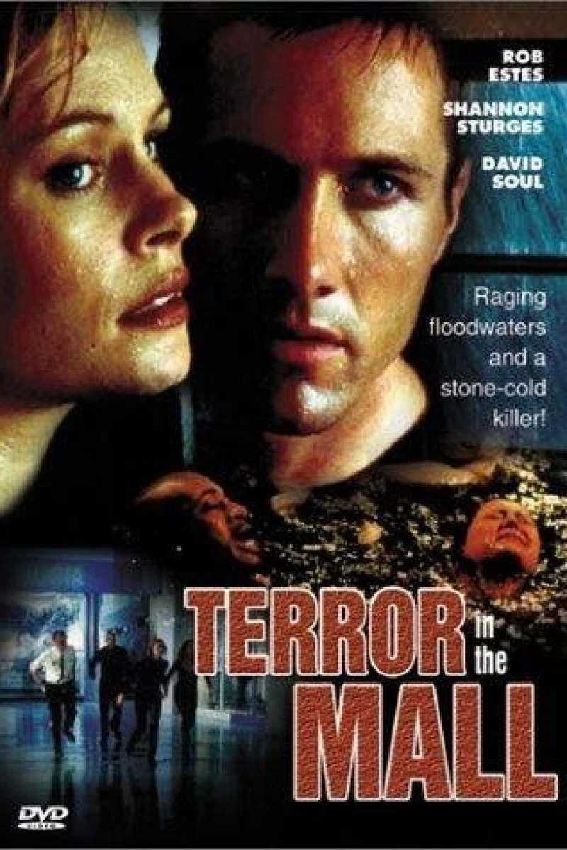 Terror in the Mall Plakat