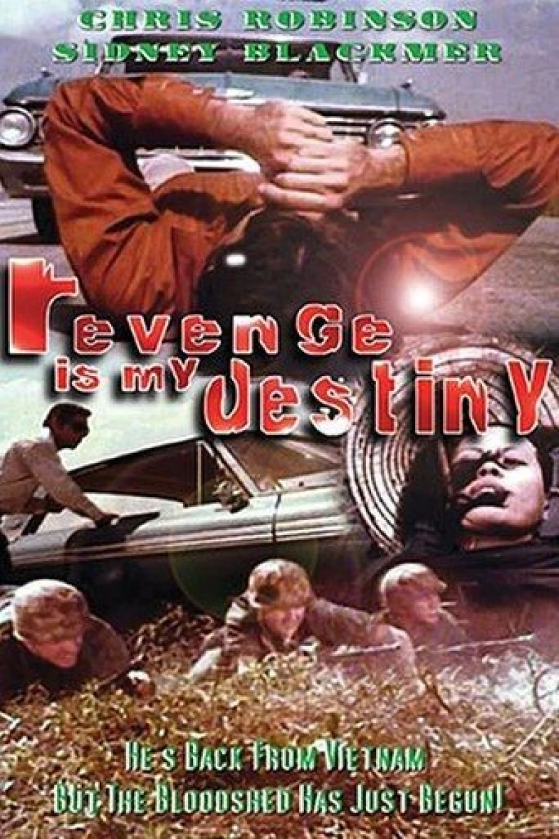 Revenge Is My Destiny Plakat