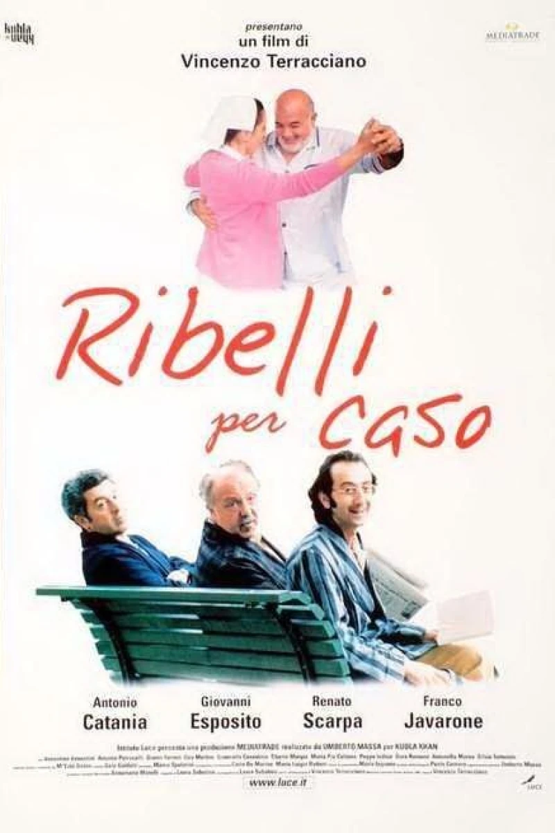 Ribelli per caso Plakat