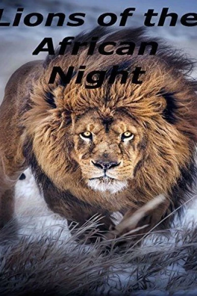 Lions of the African Night